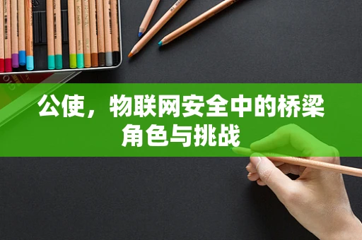 公使，物联网安全中的桥梁角色与挑战