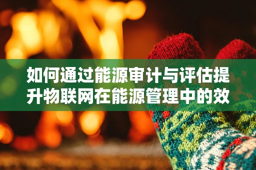 如何通过能源审计与评估提升物联网在能源管理中的效能？