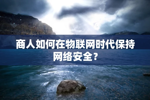 商人如何在物联网时代保持网络安全？