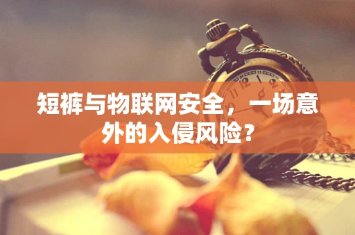 短裤与物联网安全，一场意外的入侵风险？