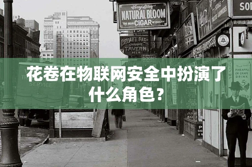 花卷在物联网安全中扮演了什么角色？