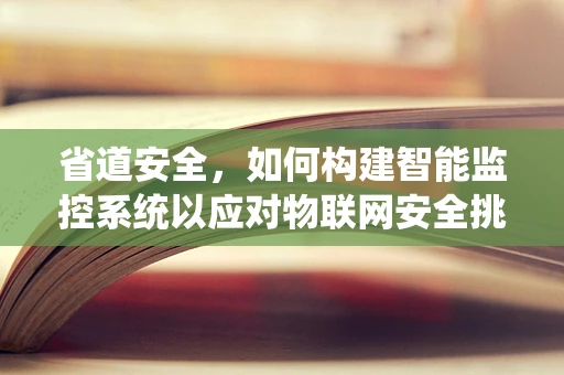 省道安全，如何构建智能监控系统以应对物联网安全挑战？