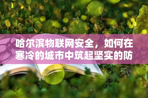 哈尔滨物联网安全，如何在寒冷的城市中筑起坚实的防线？