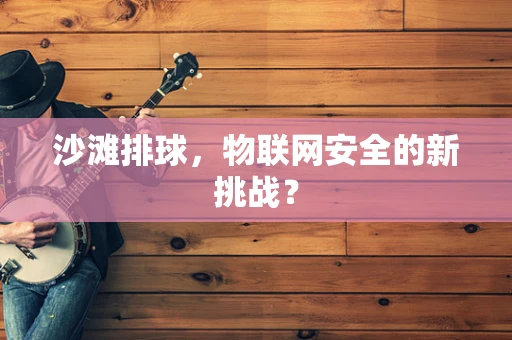 沙滩排球，物联网安全的新挑战？