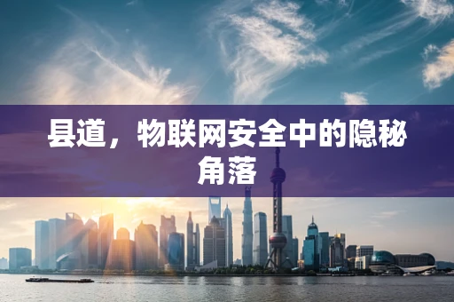 县道，物联网安全中的隐秘角落