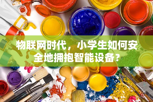 物联网时代，小学生如何安全地拥抱智能设备？