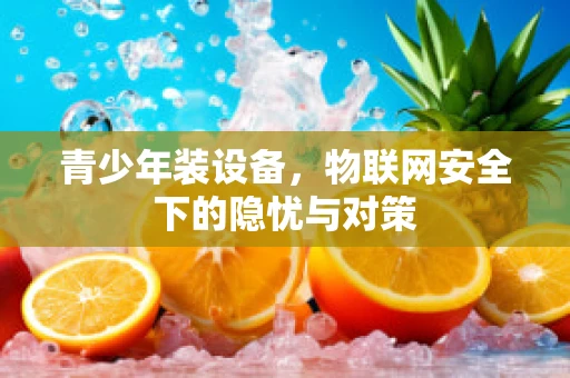 青少年装设备，物联网安全下的隐忧与对策