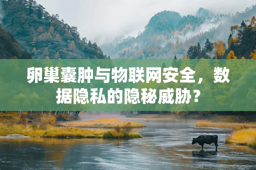 卵巢囊肿与物联网安全，数据隐私的隐秘威胁？