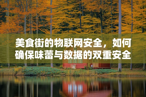 美食街的物联网安全，如何确保味蕾与数据的双重安全？