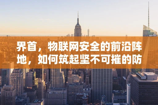 界首，物联网安全的前沿阵地，如何筑起坚不可摧的防线？
