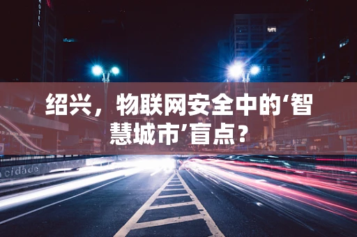 绍兴，物联网安全中的‘智慧城市’盲点？