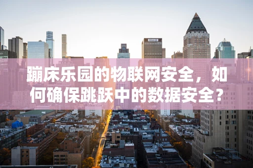 蹦床乐园的物联网安全，如何确保跳跃中的数据安全？