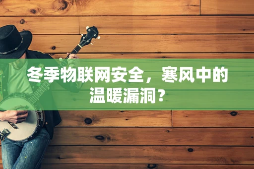 冬季物联网安全，寒风中的温暖漏洞？