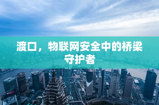 渡口，物联网安全中的桥梁守护者