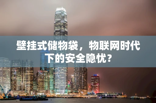 壁挂式储物袋，物联网时代下的安全隐忧？