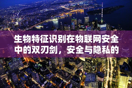 生物特征识别在物联网安全中的双刃剑，安全与隐私的平衡