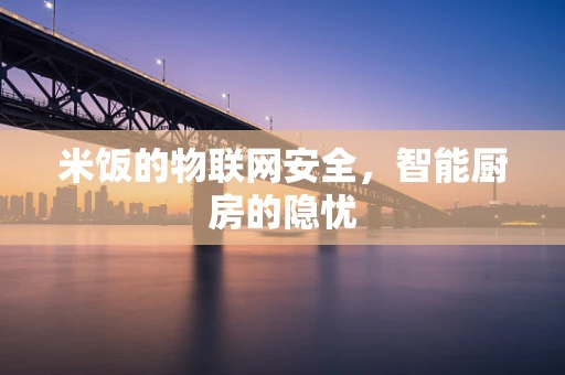 米饭的物联网安全，智能厨房的隐忧