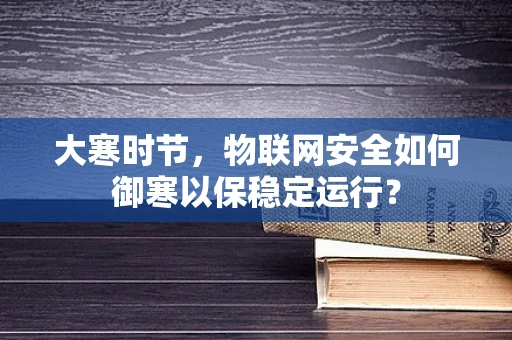 大寒时节，物联网安全如何御寒以保稳定运行？