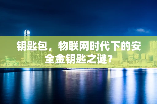 钥匙包，物联网时代下的安全金钥匙之谜？