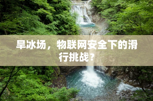 旱冰场，物联网安全下的滑行挑战？