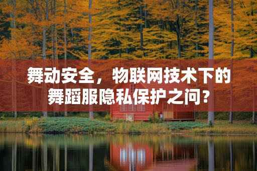 舞动安全，物联网技术下的舞蹈服隐私保护之问？