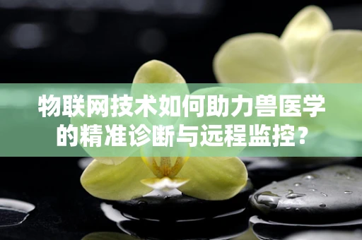 物联网技术如何助力兽医学的精准诊断与远程监控？