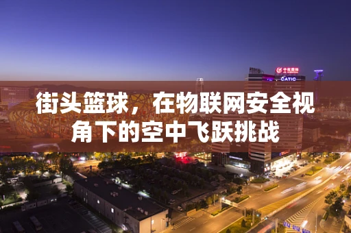 街头篮球，在物联网安全视角下的空中飞跃挑战