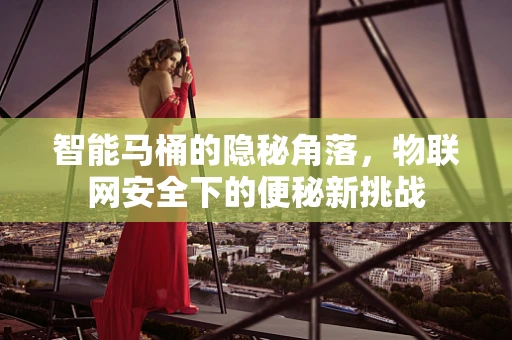 智能马桶的隐秘角落，物联网安全下的便秘新挑战