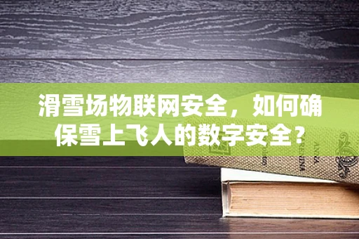 滑雪场物联网安全，如何确保雪上飞人的数字安全？