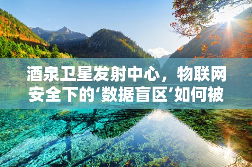 酒泉卫星发射中心，物联网安全下的‘数据盲区’如何被填补？