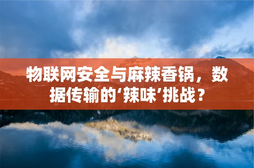 物联网安全与麻辣香锅，数据传输的‘辣味’挑战？