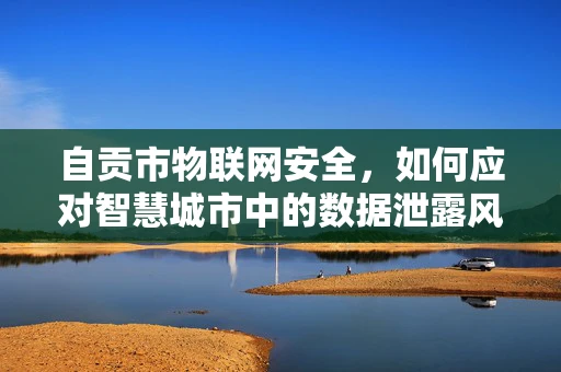 自贡市物联网安全，如何应对智慧城市中的数据泄露风险？
