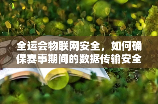 全运会物联网安全，如何确保赛事期间的数据传输安全无虞？
