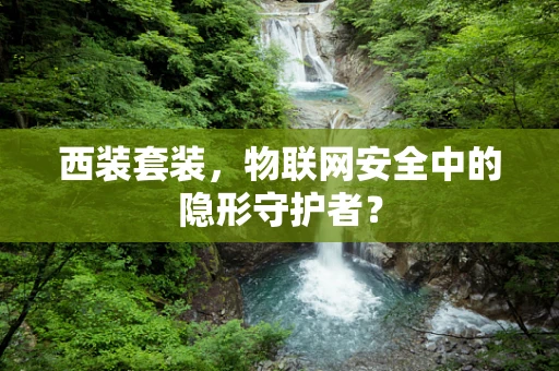 西装套装，物联网安全中的隐形守护者？