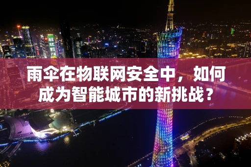 雨伞在物联网安全中，如何成为智能城市的新挑战？