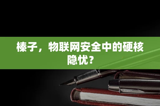 榛子，物联网安全中的硬核隐忧？