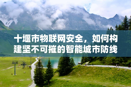 十堰市物联网安全，如何构建坚不可摧的智能城市防线？