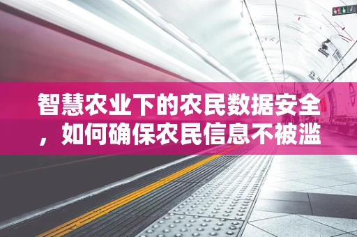 智慧农业下的农民数据安全，如何确保农民信息不被滥用？