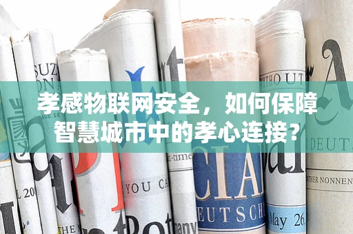 孝感物联网安全，如何保障智慧城市中的孝心连接？