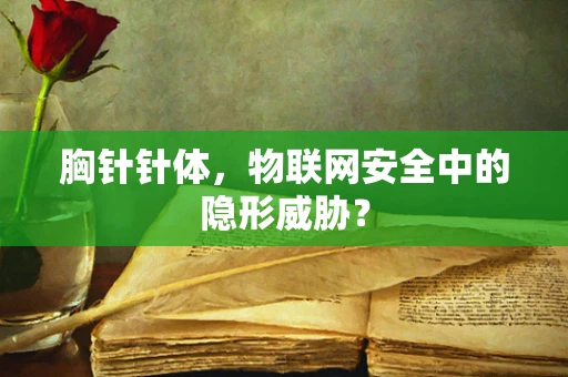 胸针针体，物联网安全中的隐形威胁？