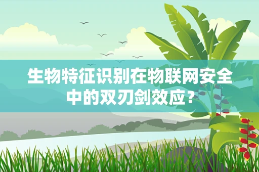 生物特征识别在物联网安全中的双刃剑效应？