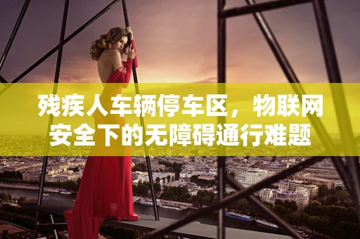 残疾人车辆停车区，物联网安全下的无障碍通行难题