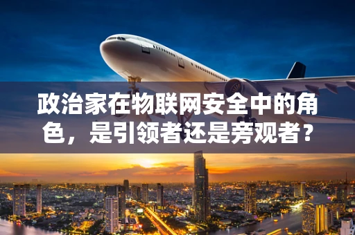 政治家在物联网安全中的角色，是引领者还是旁观者？