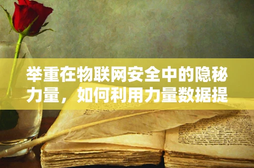 举重在物联网安全中的隐秘力量，如何利用力量数据提升安全防护？