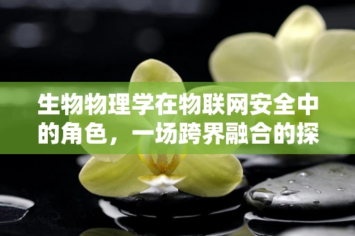 生物物理学在物联网安全中的角色，一场跨界融合的探索