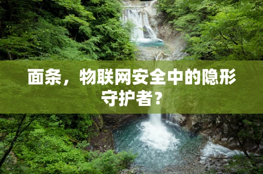 面条，物联网安全中的隐形守护者？