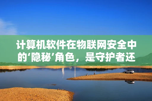 计算机软件在物联网安全中的‘隐秘’角色，是守护者还是双刃剑？