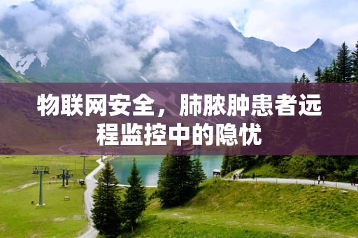 物联网安全，肺脓肿患者远程监控中的隐忧