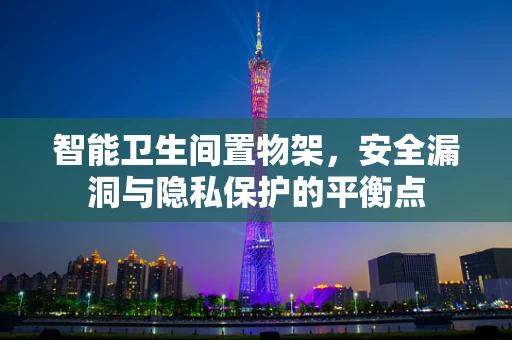 智能卫生间置物架，安全漏洞与隐私保护的平衡点