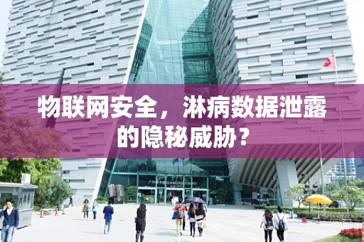 物联网安全，淋病数据泄露的隐秘威胁？